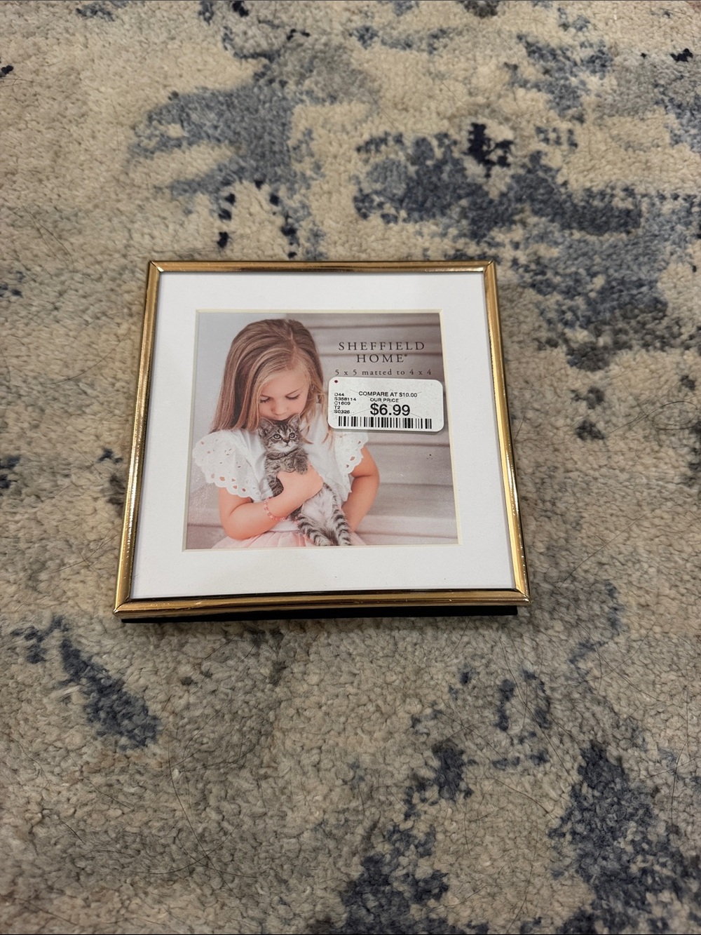 Sheffield Home Gold Picture Frame with White Mat